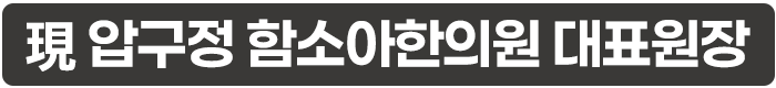 현 압구정한의원 대표원장
