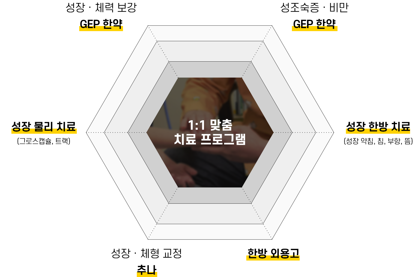 1:1 맞춤 치료 프로그램, 성장·체력 보강 GEP 한약, 성조숙증·비만 GEP 한약, 성장 한방 치료(성장 약침, 침, 부항, 뜸), 한방 외용고, 성장·체형 교정 추나, 성장 물리 치료(그로스캡슐, 트랙)